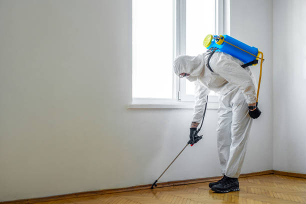 Best Pest Prevention Services  in Roslyn, NY