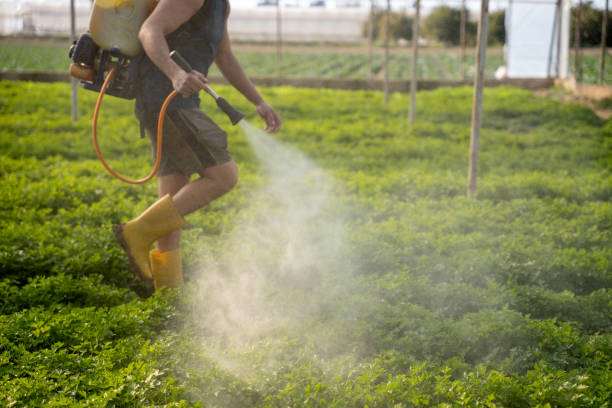 Best Mosquito Control Services  in Roslyn, NY