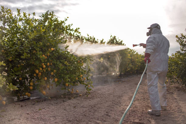 Best Pest Removal Services  in Roslyn, NY