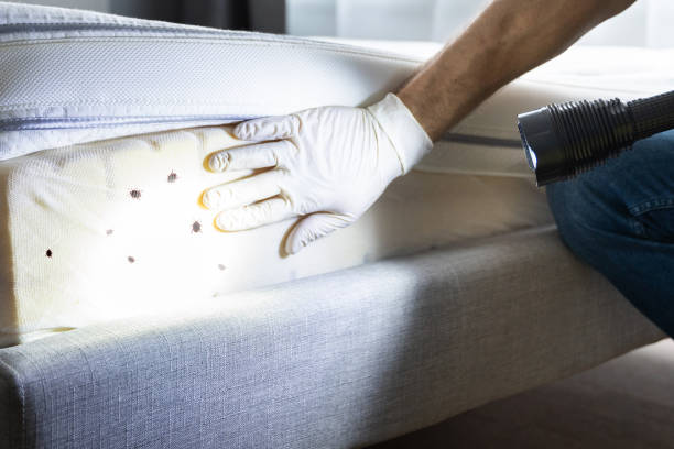 Best Pest Control Near Me  in Roslyn, NY