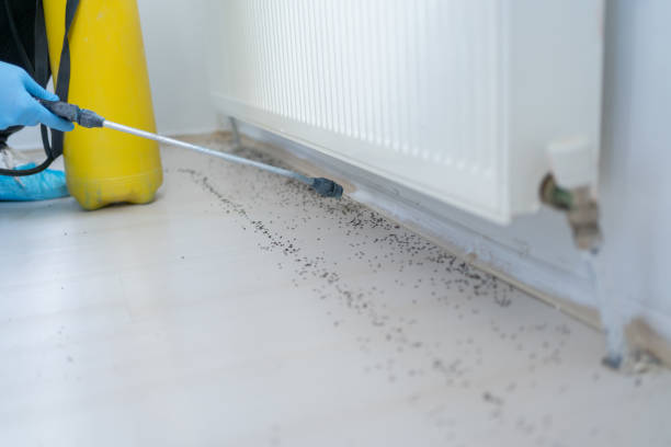 Best Mosquito Control Services  in Roslyn, NY